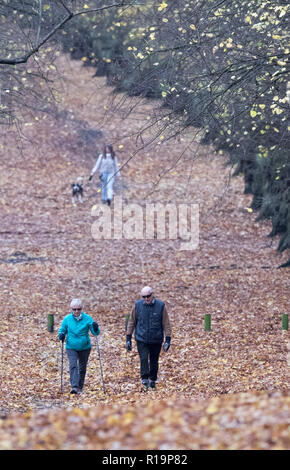 Clumber Park, Worksop, Regno Unito. Decimo Nov, 2018. Regno Unito Meteo. Dopo aver molto pesanti tempeste di pioggia durante la notte, escursionisti godetevi un pomeriggio passeggiata lungo il viale alberato in Clumber Park su una noiosa e cucire a sopraggitto giornata autunnale, Clumber Park, Nottinghamshire, Inghilterra, Regno Unito. Alan Beastall/Alamy Live News. Foto Stock