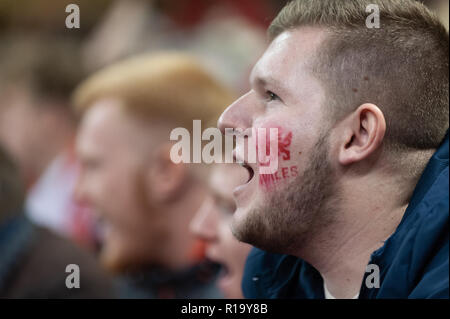 Cardiff, Galles, UK. Decimo Nov, 2018. Un sostenitore gallese in mezzo alla folla al Principato stadium esprime la sua approvazione. Credito: WALvAUS/Alamy Live News Foto Stock