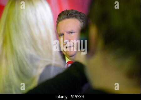 Vienna, Austria. Novembre 10, 2018. L'Accademia di Vienna di istruzione, il SPÖ (Partito Social Democratico dell'Austria), il SPÖ Vienna, il SPÖ Club parlamentare, il SPÖ Club nel Municipio di Vienna, il FSG e Karl Renner Istituto invitare alla celebrazione del '100 anni della Repubblica '. La figura mostra il sindaco viennese Michael Ludwig. Credito: Franz Perc / Alamy Live News Foto Stock