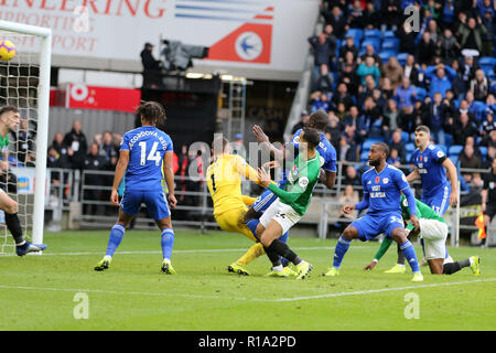 Cardiff, Galles, UK. Decimo Nov, 2018. Sol Bamba di Cardiff City punteggi il suo team 2a scopo di renderlo 2-1. Premier League, Cardiff City v Brighton & Hove Albion al Cardiff City Stadium sabato 10 novembre 2018. Questa immagine può essere utilizzata solo per scopi editoriali. Solo uso editoriale, è richiesta una licenza per uso commerciale. Nessun uso in scommesse, giochi o un singolo giocatore/club/league pubblicazioni. pic da Andrew Orchard/Andrew Orchard fotografia sportiva/Alamy Live news Foto Stock