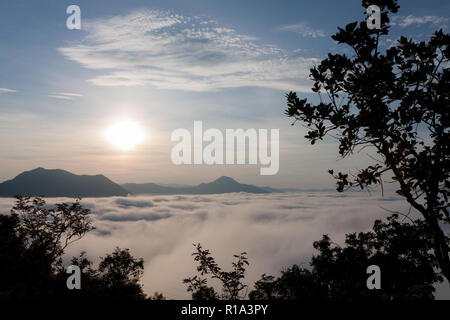 Mattina paesaggio di montagna con onde di nebbia. Trasognata sunrise su con la vista nella valle di nebbia. Bella giornata in natura. Foto Stock