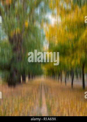 Movimento artistico-autunno sfocata immagine di un percorso lungo un vicolo in un parco della città di Burgos, Spagna Foto Stock