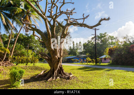 Vista della piccola città Laura con case colorate, prati verdi, alberi di palma. Majuro atoll, isole Marshall, Micronesia, Oceania Oceano Pacifico del Sud. Foto Stock