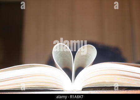 "Gli appassionati di libri' Foto Stock