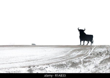 Terra di Castilla. Inverno a Castilla. Bull su bianco. Foto Stock