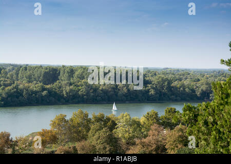 White River in barca a vela il Danubio sotto il cielo blu chiaro, tra il Parco Kalemegdan e i boschi della Grande Guerra isola a Belgrado in Serbia Foto Stock