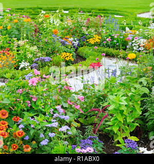 Estate letto di fiori e verde prato Foto Stock