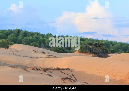 Le dune di sabbia bianca in mui ne vietnam Foto Stock