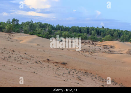 Le dune di sabbia bianca in mui ne vietnam Foto Stock