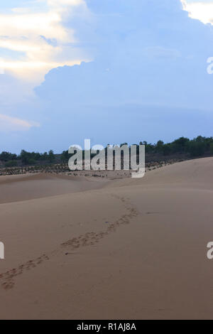 Le dune di sabbia bianca in mui ne vietnam Foto Stock