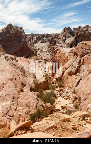 Cupole bianche trail nella valle del fuoco è un robusto desert trail Foto Stock