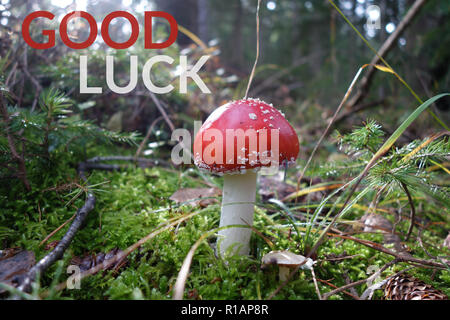 VIEL GLÜCK . Buona fortuna Foto Stock