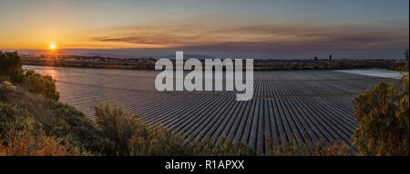 Cielo sopra il parallelo linee dei campi agricoltura si illumina mentre il sole inizia a peek oltre le lontane creste montane all'alba. Foto Stock