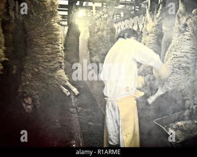 Lavoratori preparare gli animali dopo la macellazione in un steamy indistinto mattatoio interno Foto Stock