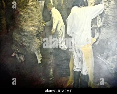 Lavoratori preparare gli animali dopo la macellazione in un steamy indistinto mattatoio interno Foto Stock