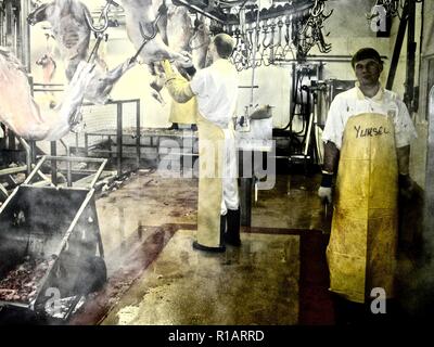 Lavoratori preparare gli animali dopo la macellazione in un steamy indistinto mattatoio interno Foto Stock