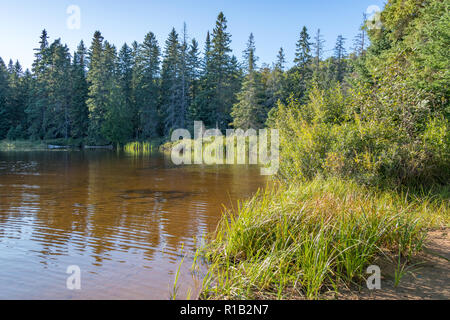 Lago e alberi, Algonquin National Park, Ontario, Canada Foto Stock