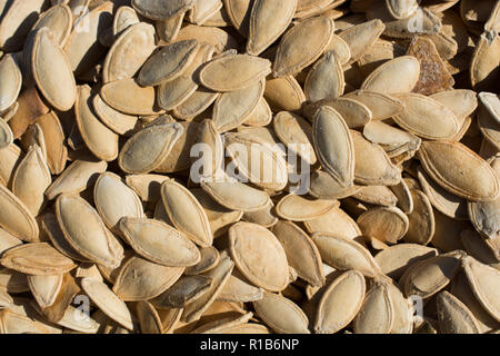 Quantità abbondante di sgranati Semi di zucca nella vista Foto Stock