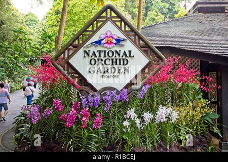 National Orchid Garden insieme all'interno di Singapore Botanic Gardens Foto Stock