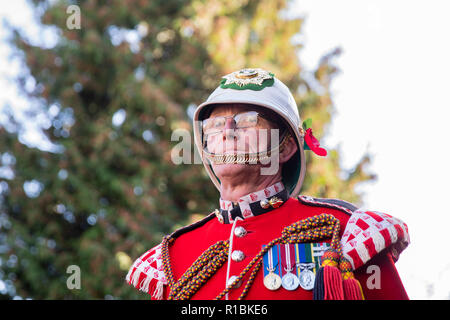 Cardiff Wales, Regno Unito, 11 novembre 2018. I veterani del Royal Welsh reggimento durante il servizio nazionale di ricordo per il Galles al National War Memorial per il Galles in Cathays Park, Cardiff. Credito: Mark Hawkins/Alamy Live News Foto Stock