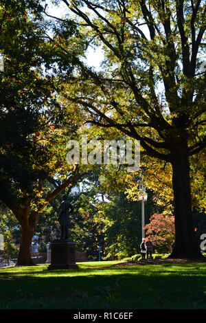 Il tardo pomeriggio di sole illumina le foglie di autunno nella motivazione al di fuori di Raleigh North Carolina storica del Capitol Building. Foto Stock