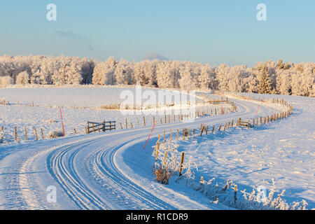 Curva paese strada in inverno con la neve Foto Stock