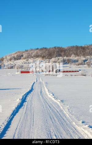 Inverno farm road nel paesaggio rurale Foto Stock