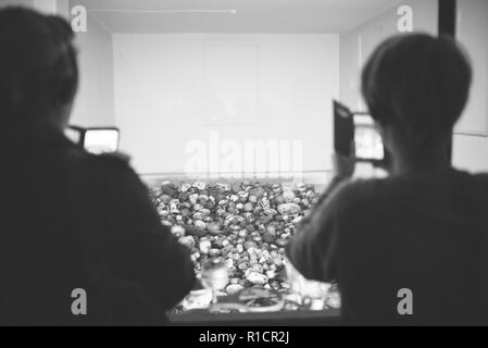 Auschwitz campo di lavoro e sterminio nazista. Esposizione delle vittime gli utensili da cucina. Auschwitz, Tedesco-occupato, Polonia, Europa Foto Stock