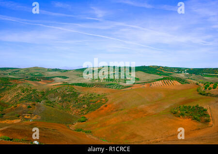Campo verde paesaggio sotto il cielo blu, Spagna Foto Stock