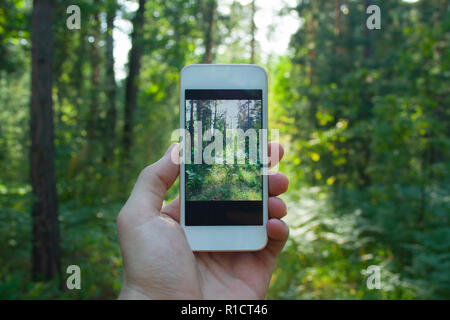 Il telefono in mano d'uomo le riprese della foresta. Fotografia del telefono Foto Stock