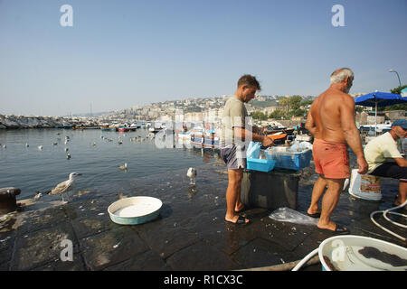 Pescatore di vendita del pesce, rotonda Diaz, la città di Napoli e il golfo di Napoli, Italia Foto Stock