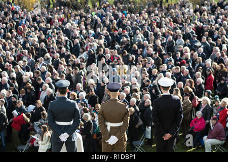 Staffordshire, Regno Unito. 11 Novembre 2018 - un armistizio 100 evento commemorativo è tenuto presso il National Memorial Arboretum. Il Duca e la Duchessa di Gloucester frequentato, tra i veterani, MPS e quelli che attualmente prestano servizio. Credito: Benjamin Wareing/Alamy Live News Foto Stock