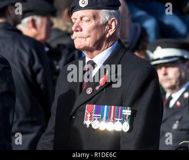 Whitehall, Londra, Regno Unito. 11 novembre 2018. L'undicesima ora della XI Giornata. Migliaia a raccogliere il Cenotafio per commemorare il centenario centenario della fine della Prima Guerra Mondiale . Veterani e servizio personale militare di prendere parte nel marzo del passato erano unite da 10.000 membri del pubblico scelto dal voto per ricordare i propri parenti che hanno perso la vita durante il conflitto. Sua Maestà la regina ha portato quelli raccolti in un 2 minuti di silenzio seguiti mediante la posa di corone da membri della famiglia reale e altri dignitari del Regno Unito e in tutto il mondo. Credito: Newspics Regno Unito Sud/Alamy Live Foto Stock