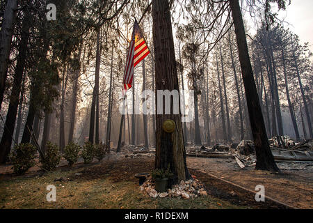 Magalia, CA, Stati Uniti d'America. Xi Nov, 2018. Uno scoiattolo corre vicino a struttura dopo home è stata distrutta durante il fuoco di campo di Domenica, Novembre 11, 2018 in Magalia. Credito: Paolo Kitagaki Jr./ZUMA filo/Alamy Live News Foto Stock