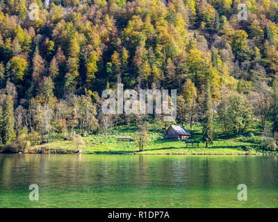 Immagine della piccola casa accanto a un lago e forrest in autunno Foto Stock