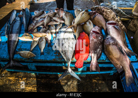 Mercato del pesce nello Sri Lanka. Pesca e produzione di pesce salato punto caldo dello Sri Lanka Foto Stock