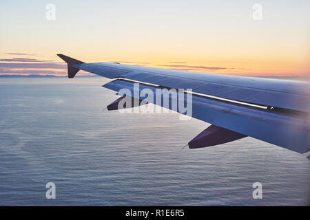 Attina alba con ala di un aeroplano. Foto applicata al turismo operatori. immagine per aggiungere messaggio di testo o il sito web di telaio. Il concetto di viaggio Foto Stock