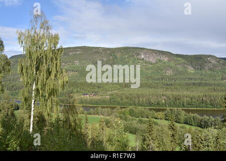 Norwegen, Alvdal, Fluss, Tal, Wald, Glåma, Elchregion, Bjøråa, Elch, Riese, Storelgen Elg, Stor-Elvdal, Elvdal, Straße, 3, Straße 3, Tal, Hauptstraße Foto Stock