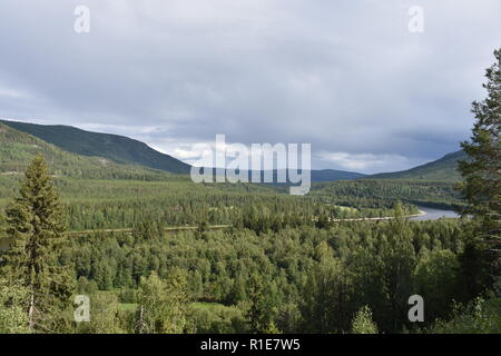 Norwegen, Alvdal, Fluss, Tal, Wald, Glåma, Elchregion, Bjøråa, Elch, Riese, Storelgen Elg, Stor-Elvdal, Elvdal, Straße, 3, Straße 3, Tal, Hauptstraße Foto Stock