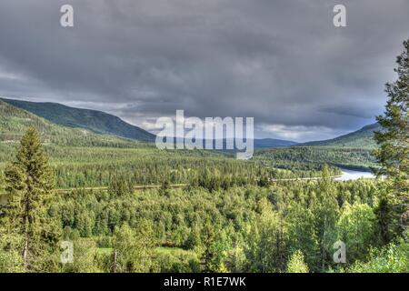 Norwegen, Alvdal, Fluss, Tal, Wald, Glåma, Elchregion, Bjøråa, Elch, Riese, Storelgen Elg, Stor-Elvdal, Elvdal, Straße, 3, Straße 3, Tal, Hauptstraße Foto Stock