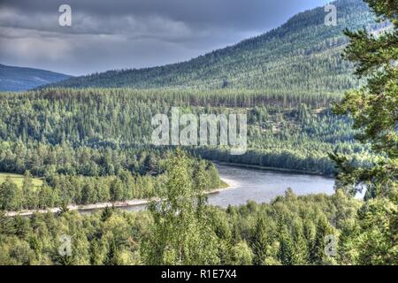 Norwegen, Alvdal, Fluss, Tal, Wald, Glåma, Elchregion, Bjøråa, Elch, Riese, Storelgen Elg, Stor-Elvdal, Elvdal, Straße, 3, Straße 3, Tal, Hauptstraße Foto Stock