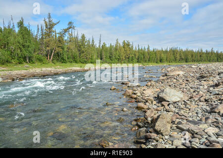 Soglia di fiume sul fiume taiga. Estate acqua rapids paesaggio nel Urali polari. Foto Stock
