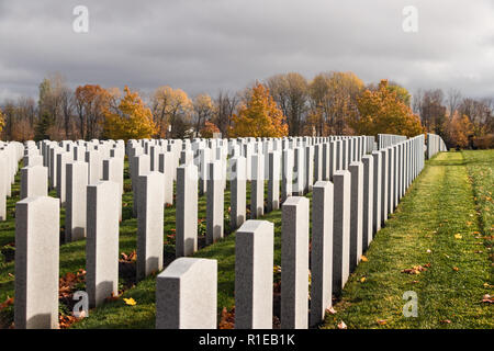 In UN CIMITERO DI SUNNYDALE - monumenti funerari di soldati caduti in legno di faggio - Cimitero Nazionale - Ottawa, Ontario, Canada Foto Stock