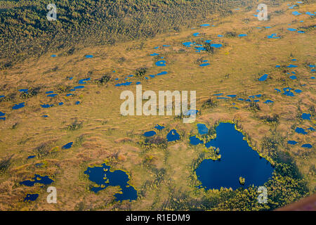 Veduta aerea di bog zone umide in Estonia, il nord Europa in estate. Fotografato dal piano privato. Dovuti a graffi e riflessioni sul piano della finestra, Foto Stock