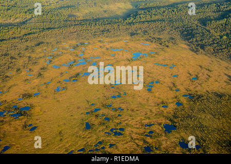 Veduta aerea di bog zone umide in Estonia, il nord Europa in estate. Fotografato dal piano privato. Dovuti a graffi e riflessioni sul piano della finestra, Foto Stock