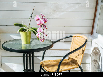 Bianco Rosa mix orchid in verde vaso di fiori su un vetro tavolo da giardino, all'aperto in estate, in legno bianco sullo sfondo della scheda. Foto Stock