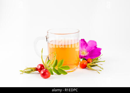 Vista laterale della rosa anca o rosa canina, chiamato anche rose haw e hep rosa tea in vetro chiaro cup, materie bacche, sbocciano i fiori e foglie di decorazione su whit Foto Stock