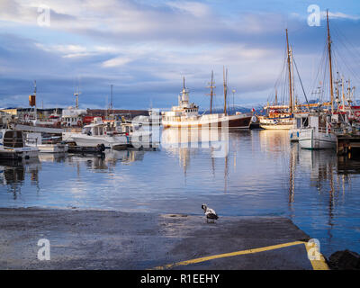 Porto di Husavik, Islanda con navi nelle prime ore del mattino Foto Stock