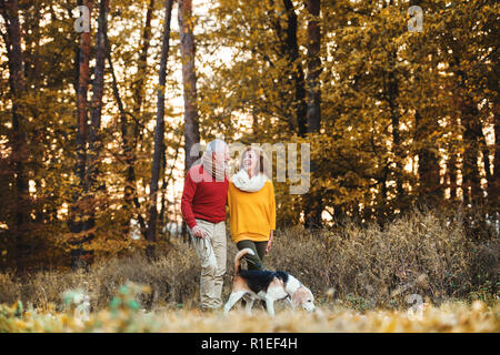 Una coppia senior con un cane in una passeggiata in un autunno natura. Foto Stock