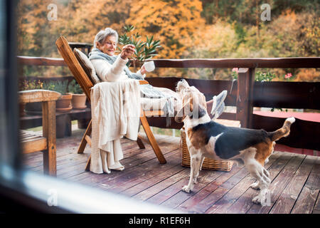 Una donna anziana con un cane seduti all'aperto su una terrazza in una giornata di sole in autunno. Foto Stock